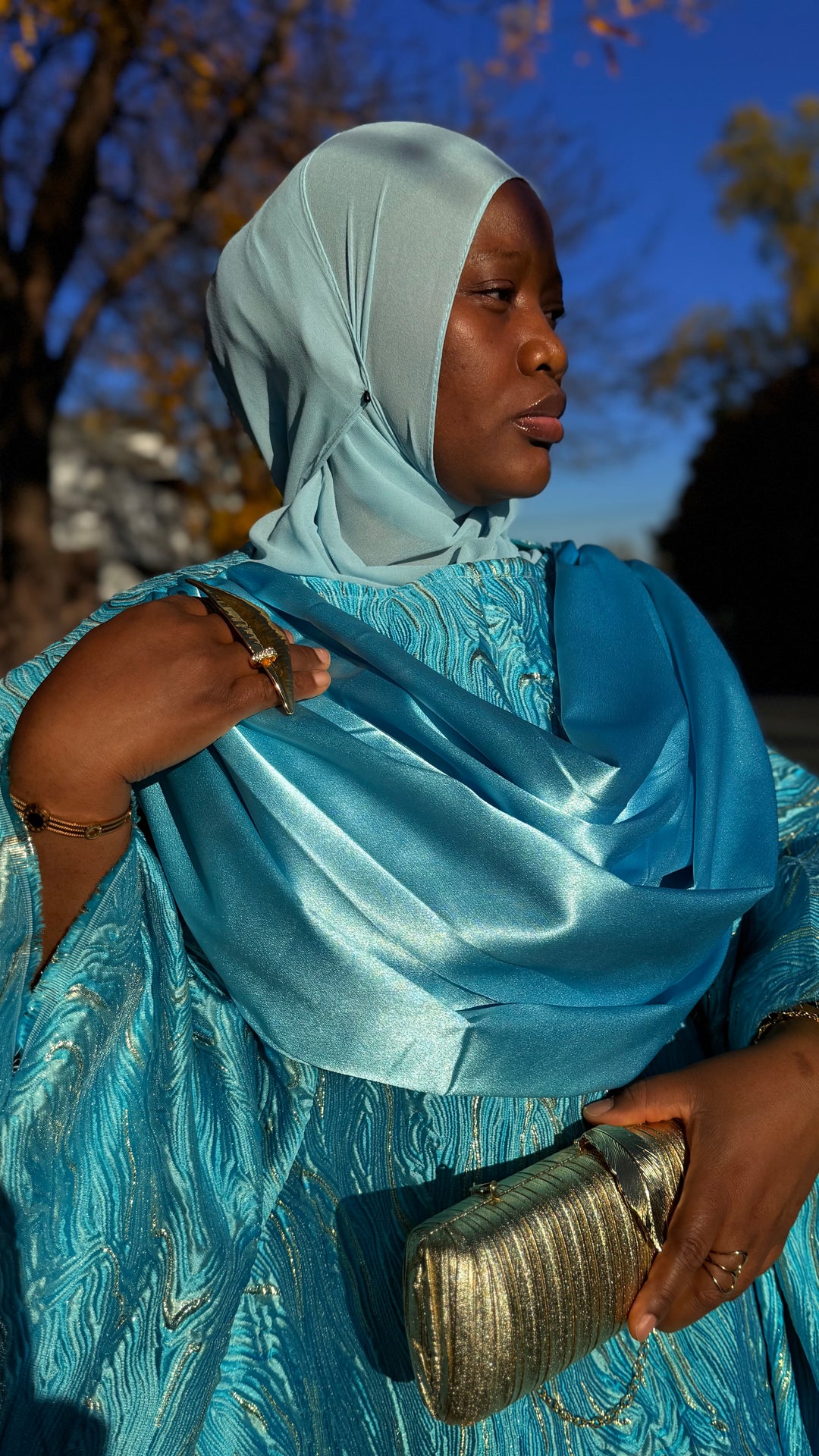 Luxe Premium Brocade Rich Aunty Bubu Gown.